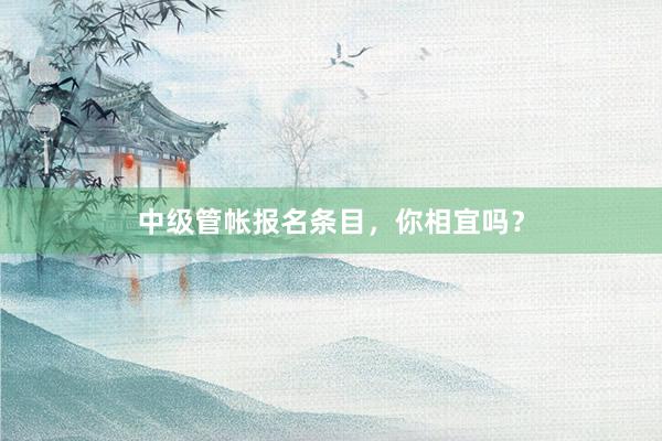 中级管帐报名条目，你相宜吗？